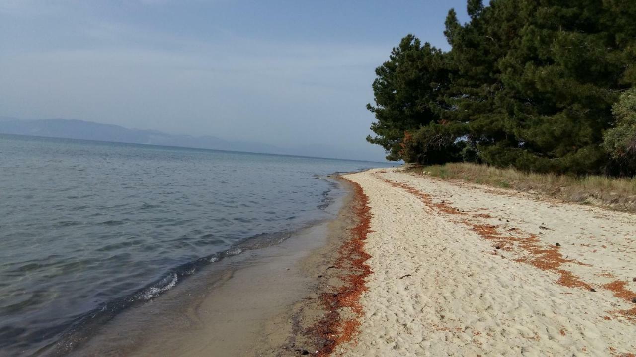 Апартаменти Vlachogiannis El Estate Skala Rachoni  Екстер'єр фото