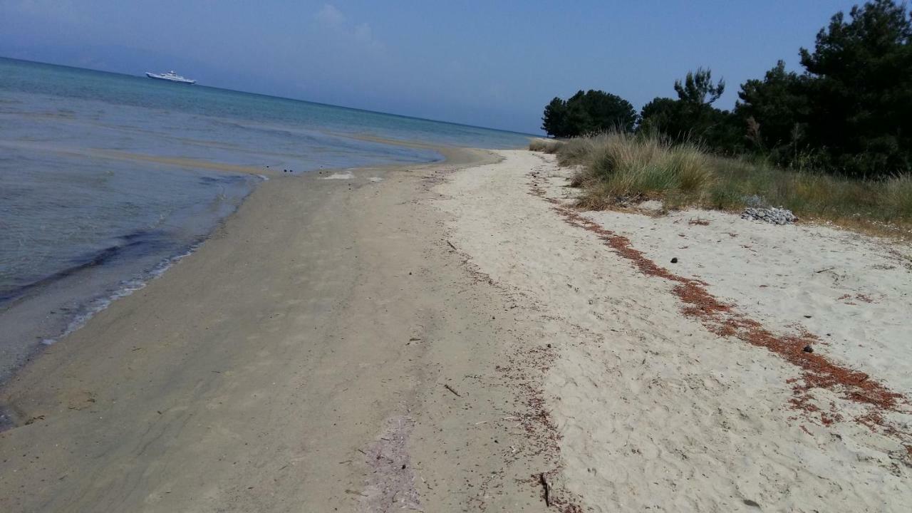 Апартаменти Vlachogiannis El Estate Skala Rachoni  Екстер'єр фото