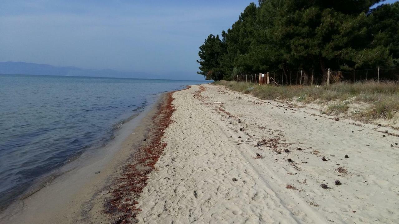 Апартаменти Vlachogiannis El Estate Skala Rachoni  Екстер'єр фото